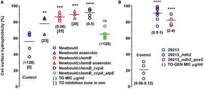 Bactericidal Activity of the Bacterial ATP Synthase Inhibitor Tomatidine and the Combination of Tomatidine and Aminoglycoside Against Persistent and Virulent Forms of Staphylococcus aureus